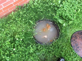 We clear blocked drains in Manchester at a fixed fee with no call out charges 24/7! Unblocking your drain is what we do!